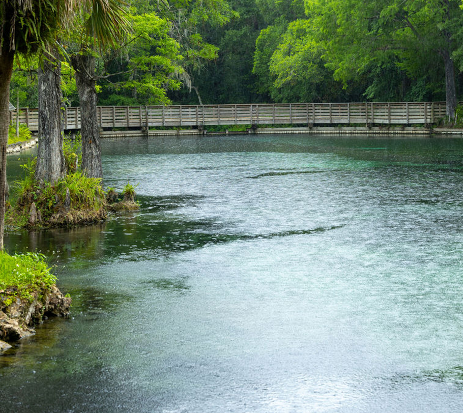 Spring view with bridge walkway in the background