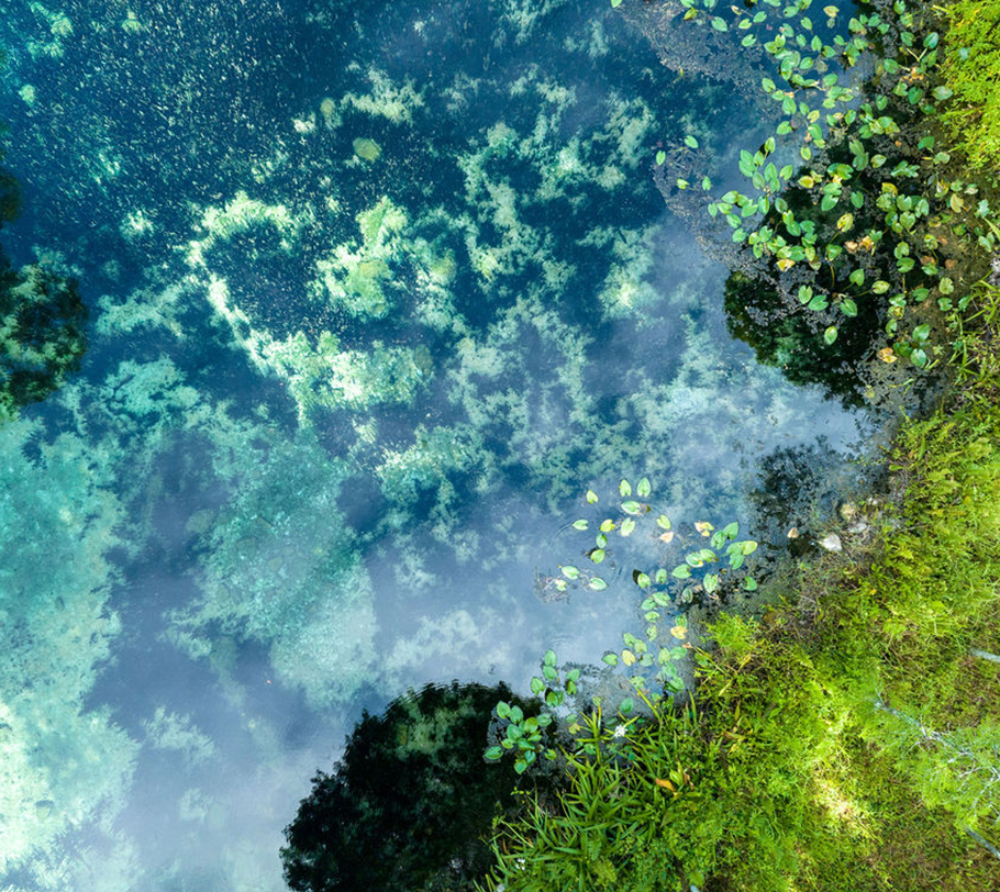 Aerial water closeup view with green grass showing
