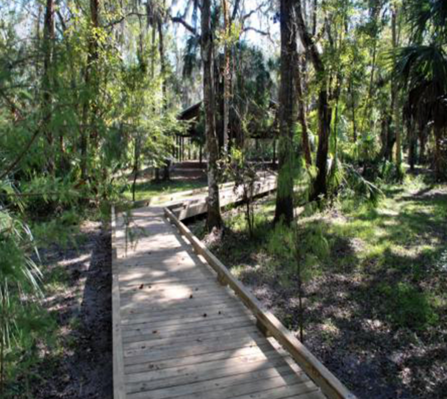 Wooden path through the woods
