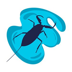 Bug icon