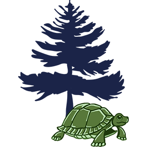Large tree icon with a small graphic turtle