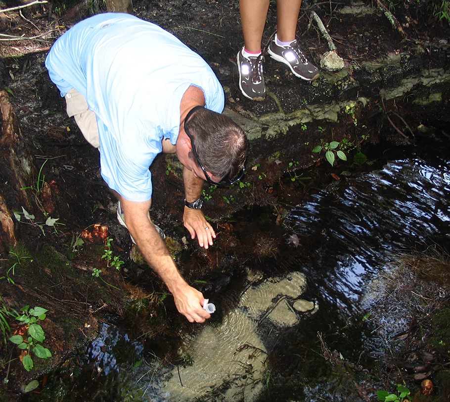 Kids in a troop birdwatching