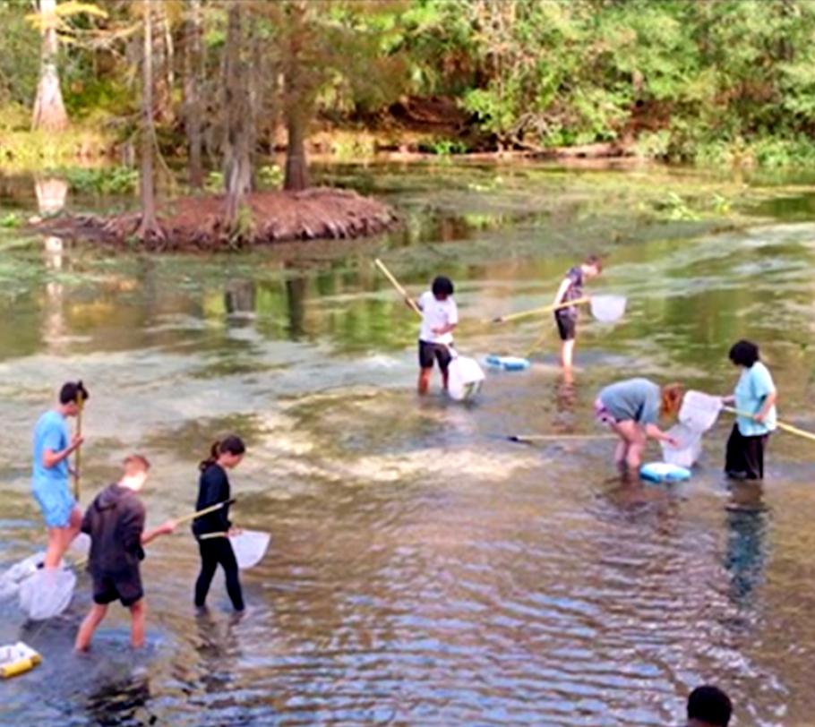 Students with nets wading spring water