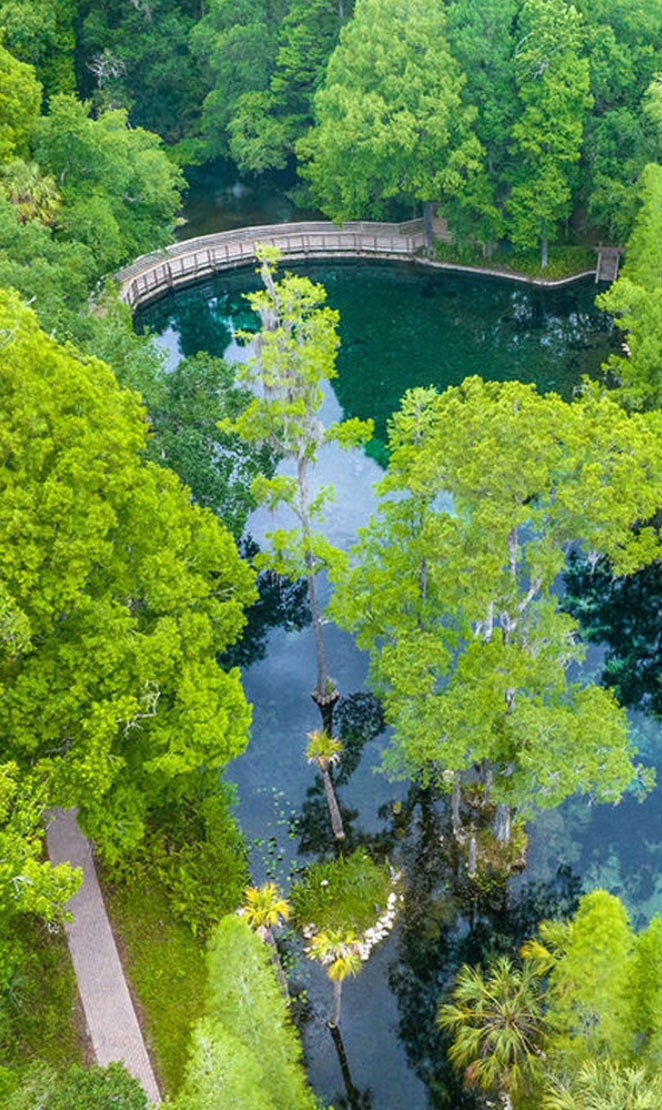 Aerial view of the spring