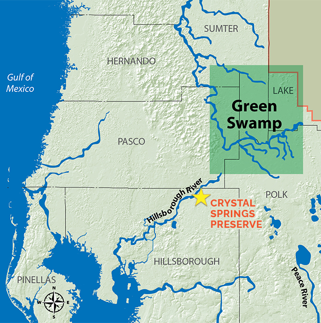 Crystal Springs Preserve located near the Green Swamp