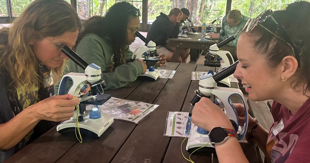Teachers looking through microscopes