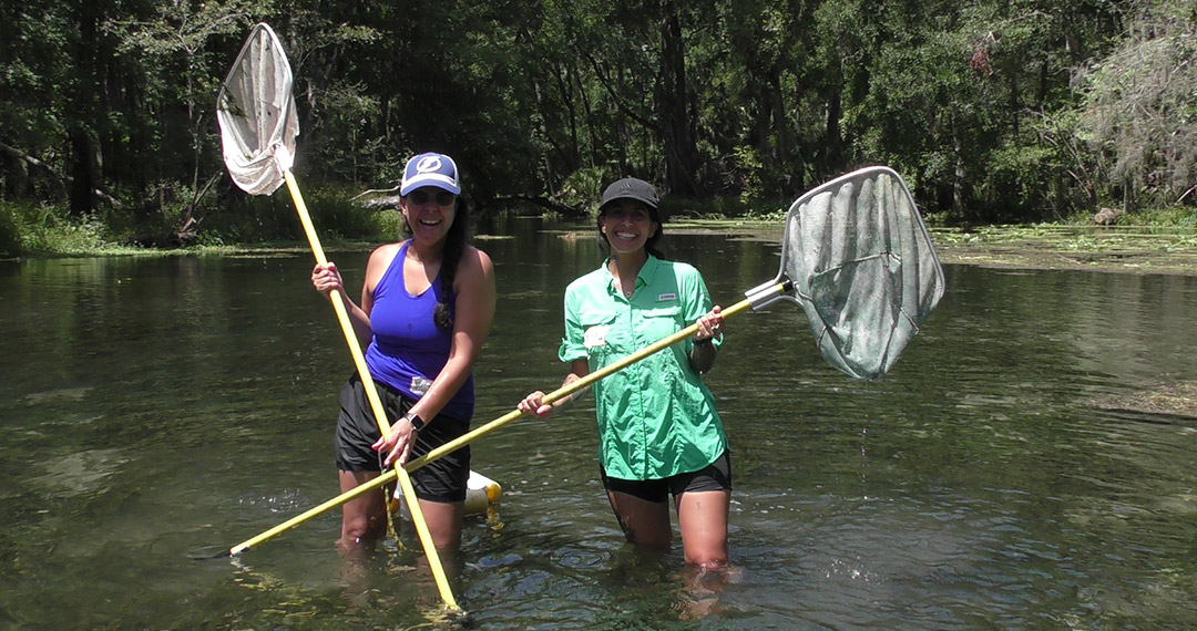 Middle School Teachers Netting