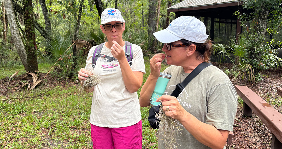 Teachers Training in Survival